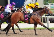 Seize The Day does best in the final stages on Sunday.<br>Photo by Singapore Turf Club